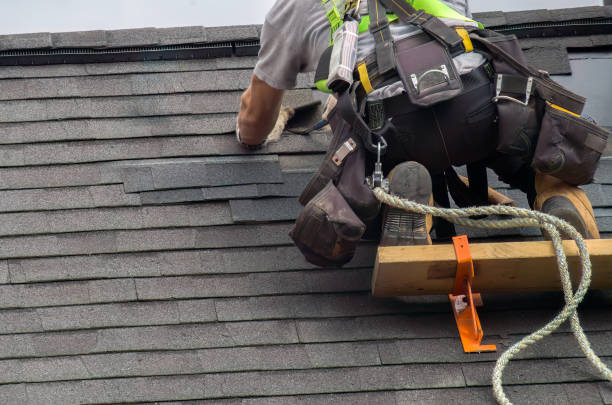 Best Storm Damage Roof Repair  in Treasure Island, FL