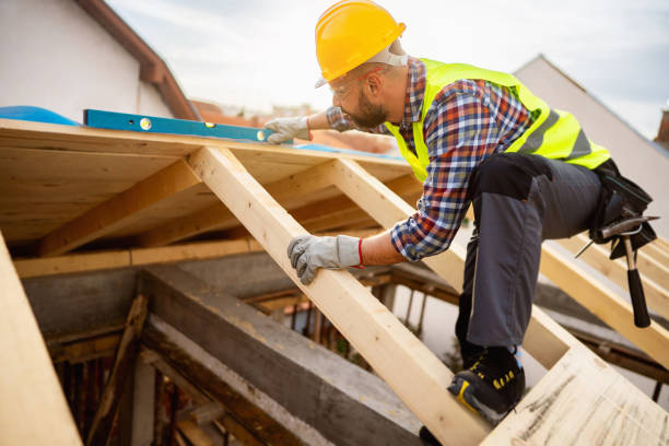Best Roof Gutter Cleaning  in Treasure Island, FL